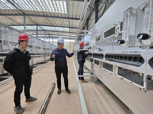 5萬噸高端鋰電負極材料項目7月投產，建筑裝飾材料產業如何轉型制勝新賽道？